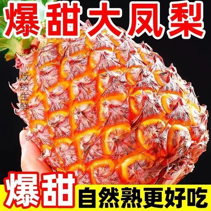 菠萝-金钻凤梨-香水菠萝电商平台一件代发日发3万单包售后