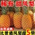 菠萝-金钻凤梨-香水菠萝电商平台一件代发日发3万单包售后