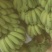 云南红河县芭蕉