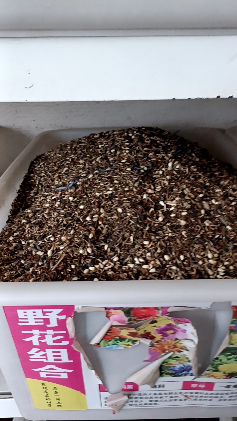 野花组合