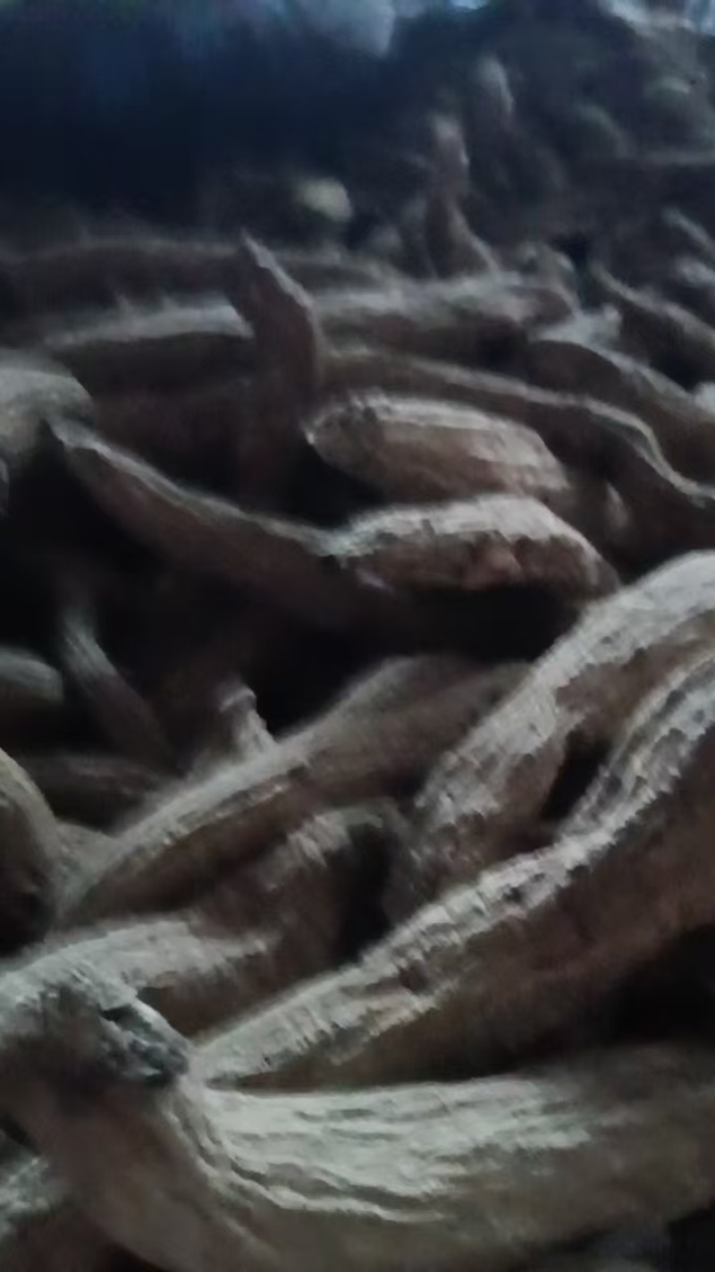 精品玄参干货货源充足量大从优欢迎咨询