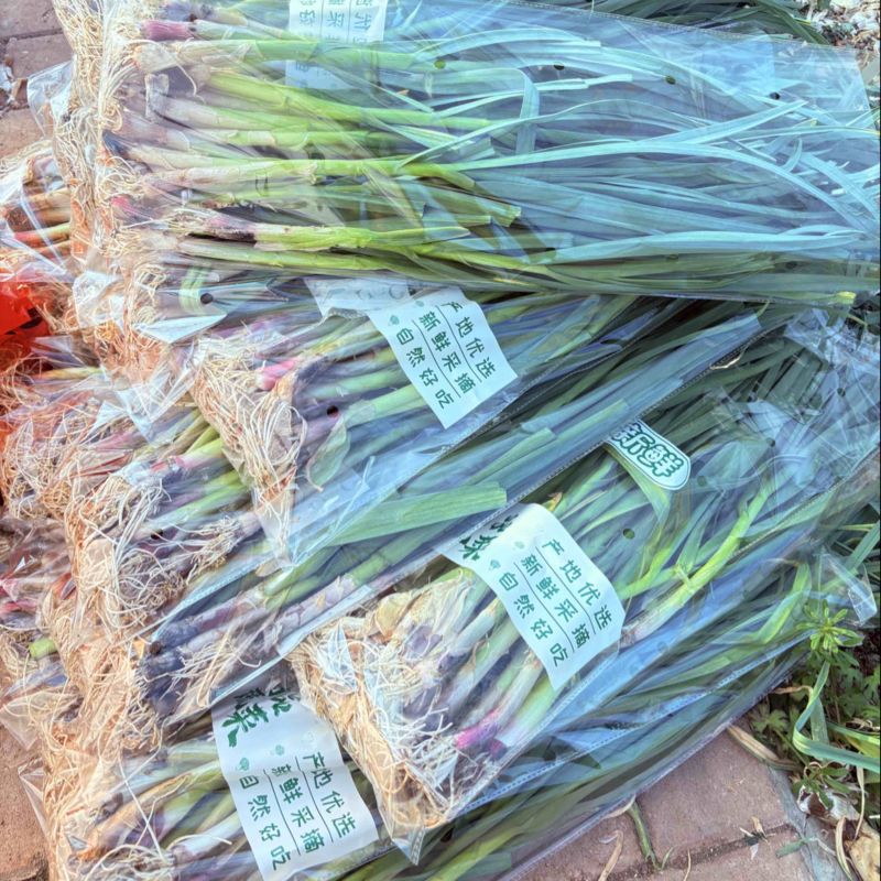 合肥庐阳区三十岗红皮大蒜叶