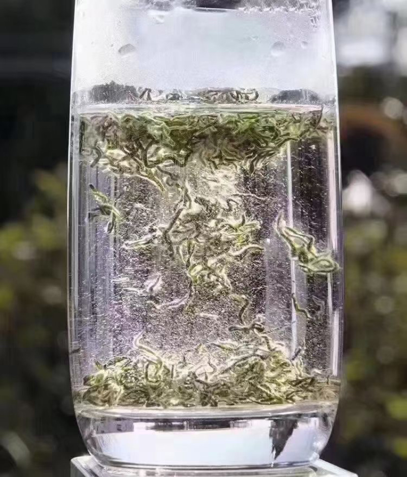 苏州东山碧螺春（特一级单牙）