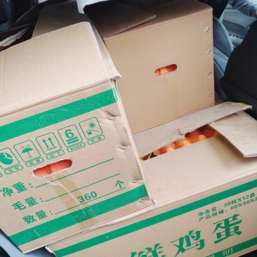 新鲜鸡蛋***********。