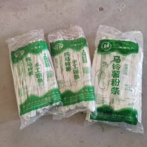 定西宽粉土豆宽粉土豆粉条大量供应各种规格欢迎来