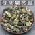 豨签草新货稀莶草稀见草豨签草中药材草药保质保批发零售