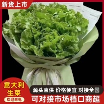 【今日推荐】意大利生菜可视频看货对接全国品种保证
