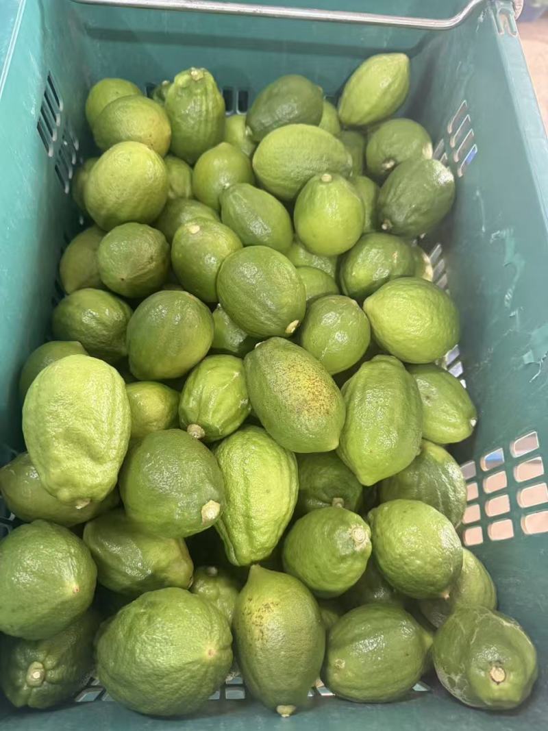 广东香水柠檬二级果
