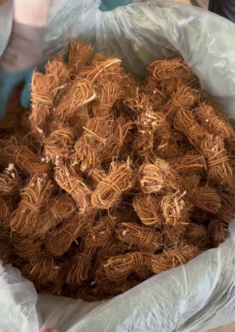 五指毛桃小节中节！！！！！！！！！！！！！