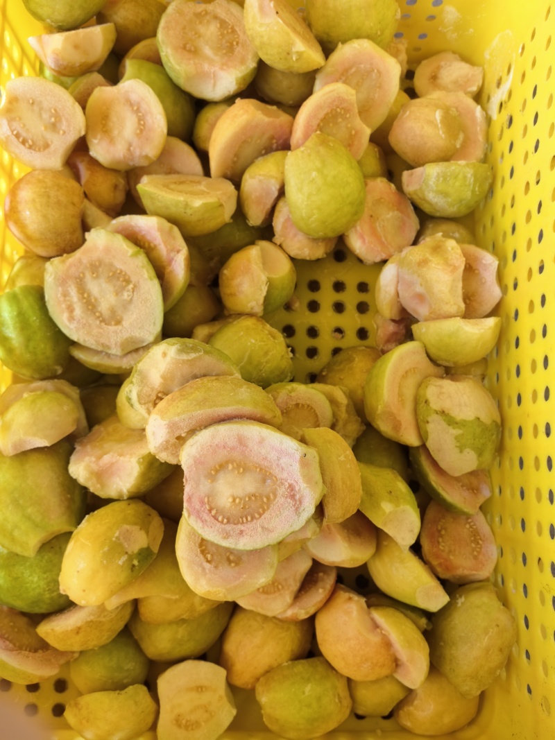 烟脂红果球