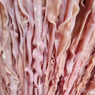 山东鸭肠厂家直销，冻货，干货，鲜货，熟肠