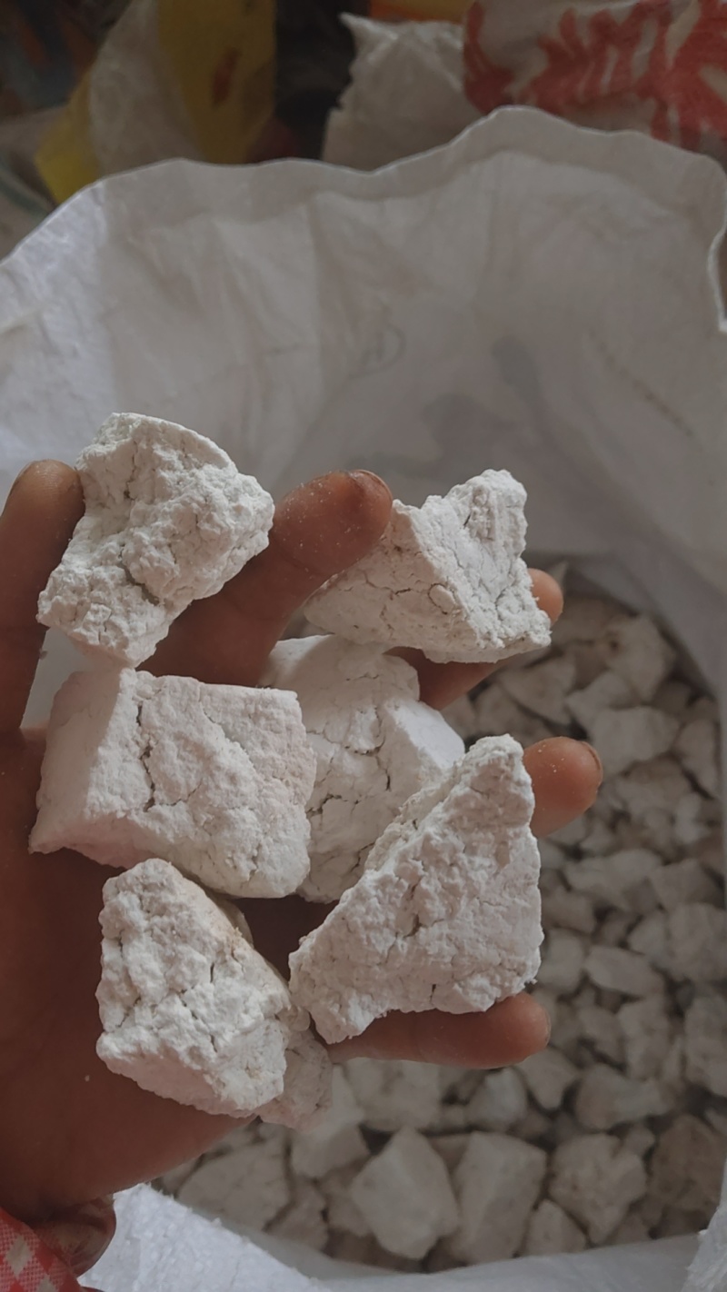 云南特惠正宗茯苓丁中心丁大小丁欢迎电话咨询