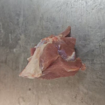 前圆骨，肉骨，带肉率50以上