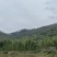 雷竹笋基地现货现挖现发保证新鲜包售后保质量