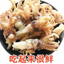 海兔头干健康营养味道不美味便宜实惠保质保量包邮