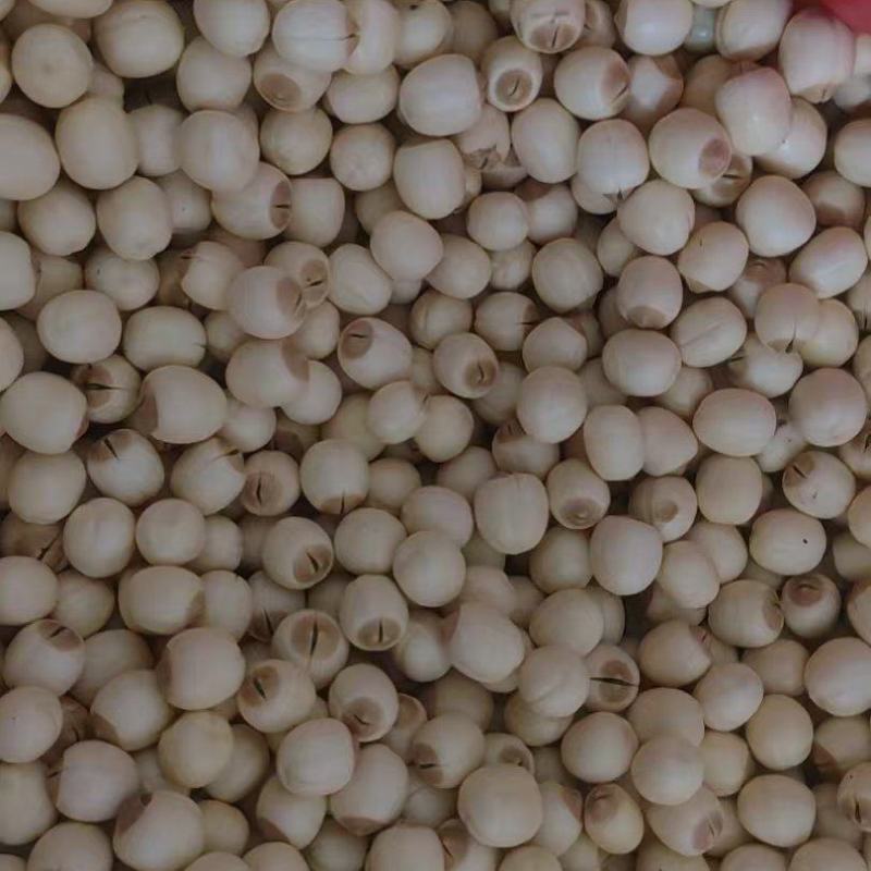 去心鲜白莲手工去芯粉糯清甜煲汤煮粥糖水食材基地直供