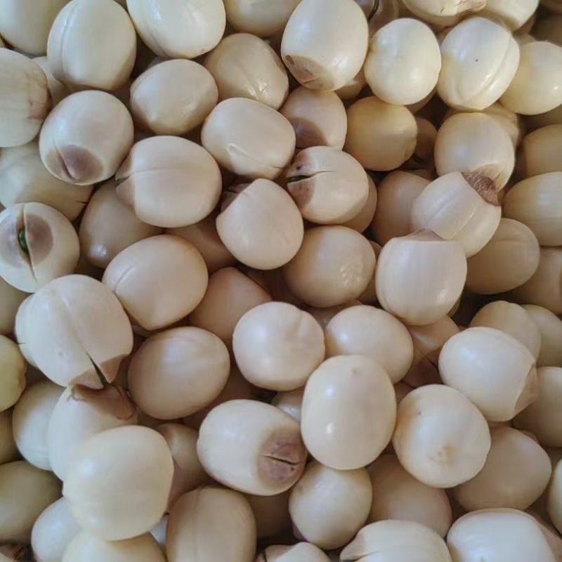 去心鲜白莲手工去芯粉糯清甜煲汤煮粥糖水食材基地直供