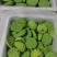 今年新出水果嫩莲蓬大量供应海南莲蓬基地直供全国各地