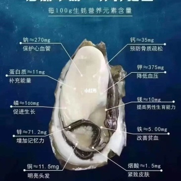 生蚝批发