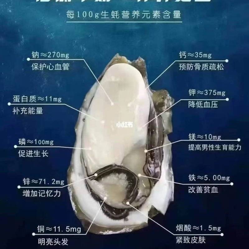 生蚝批发