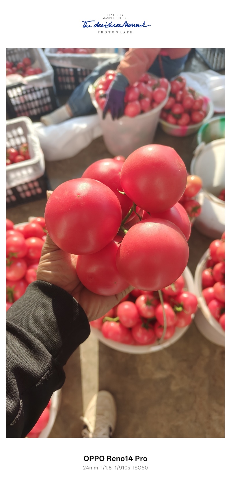 硬粉串果