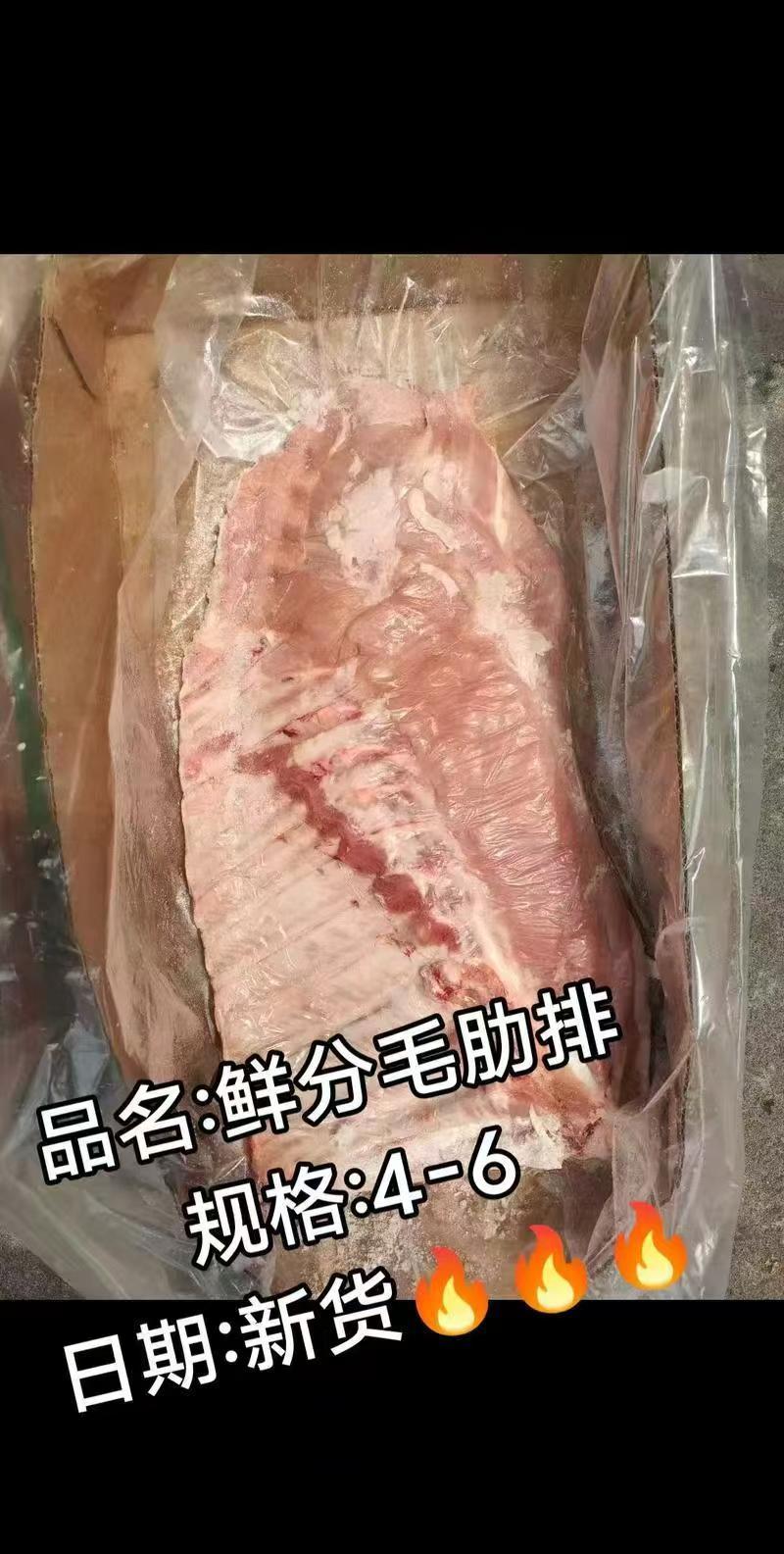 毛肋排