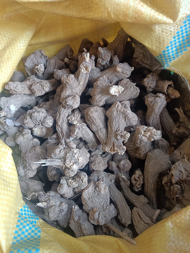 安徽一年生白术干统货