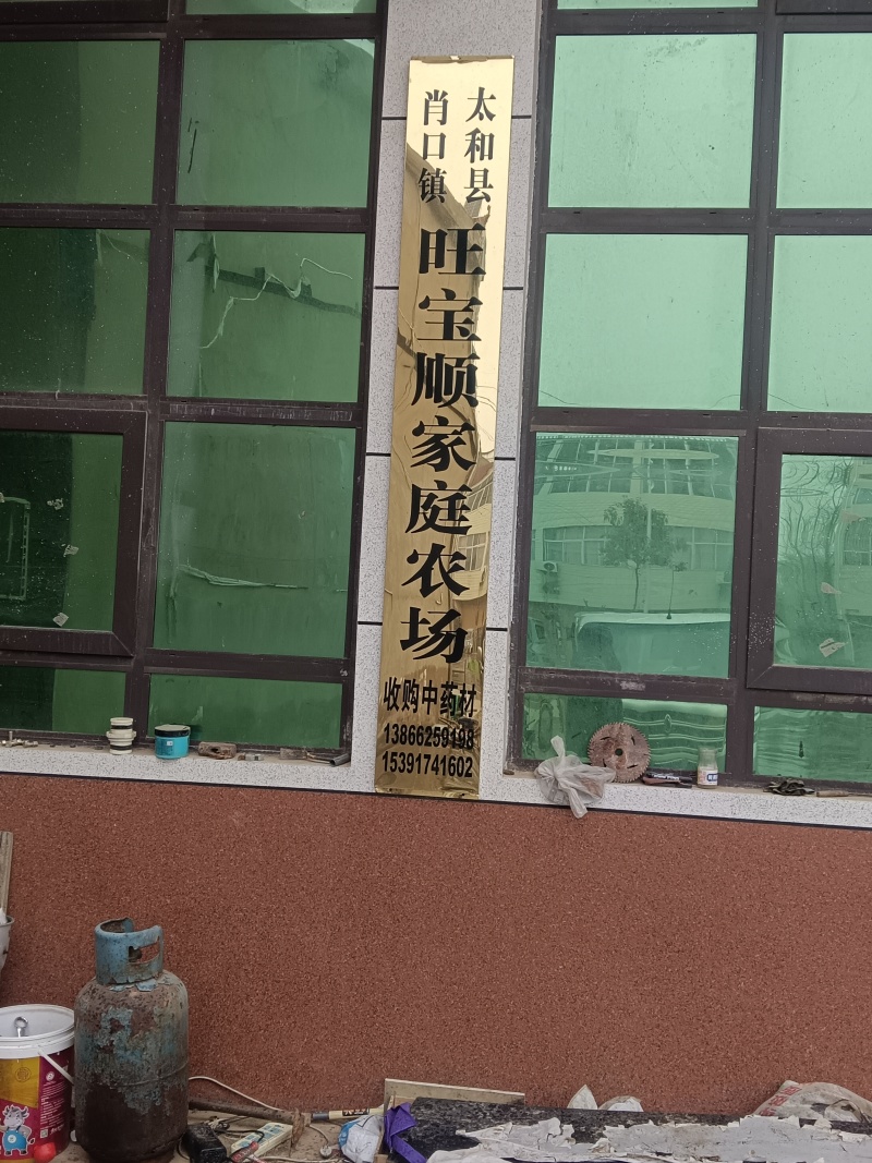 安徽一年生白术干统货