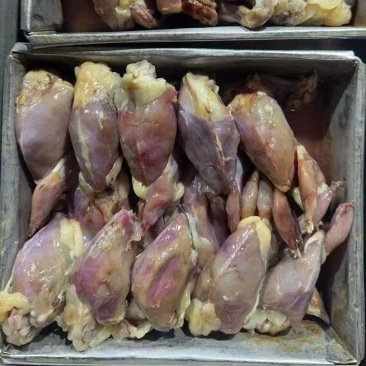 去皮鹌鹑