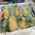 【荐】云南菠萝&香水菠萝&小菠萝/产地直供/可全国发货