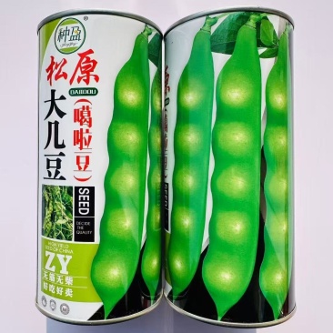 松原大几豆种子东北嘎啦豆角种子无筋无柴鼓豆几豆角油豆角种