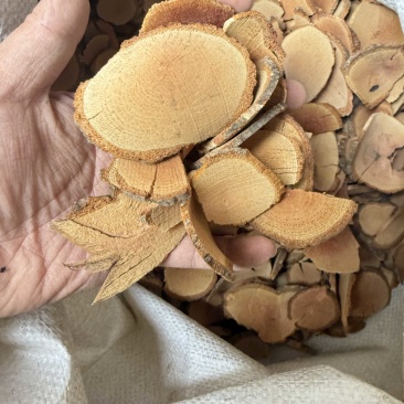藤梨根猕猴梨根大货供应看图收货包邮