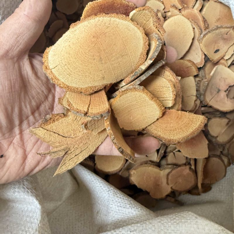 藤梨根猕猴梨根大货供应看图收货包邮