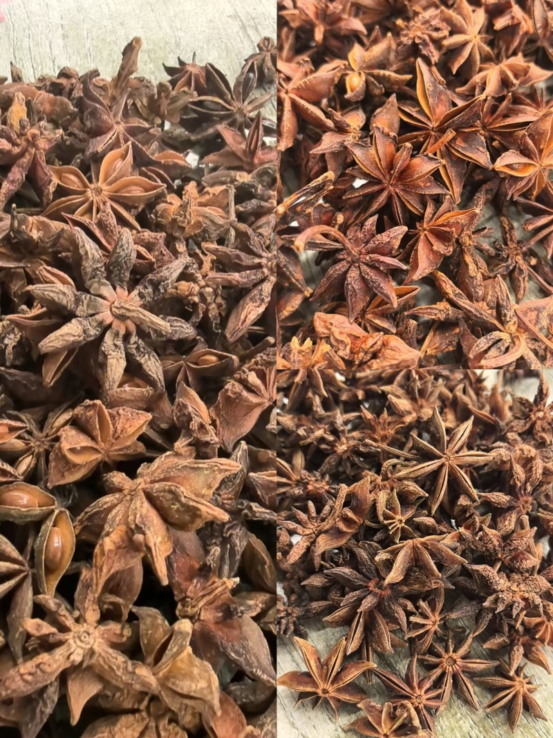 广西百色大红八角