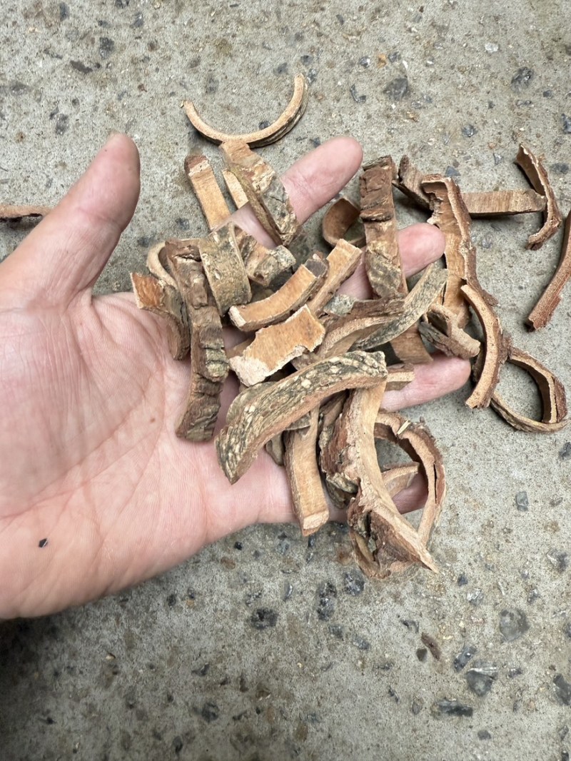 土荆皮看图收货包邮