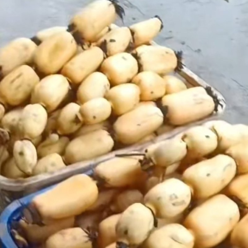 莲藕