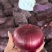 内蒙古紫皮洋葱，优质现货，大小8-11一吨200