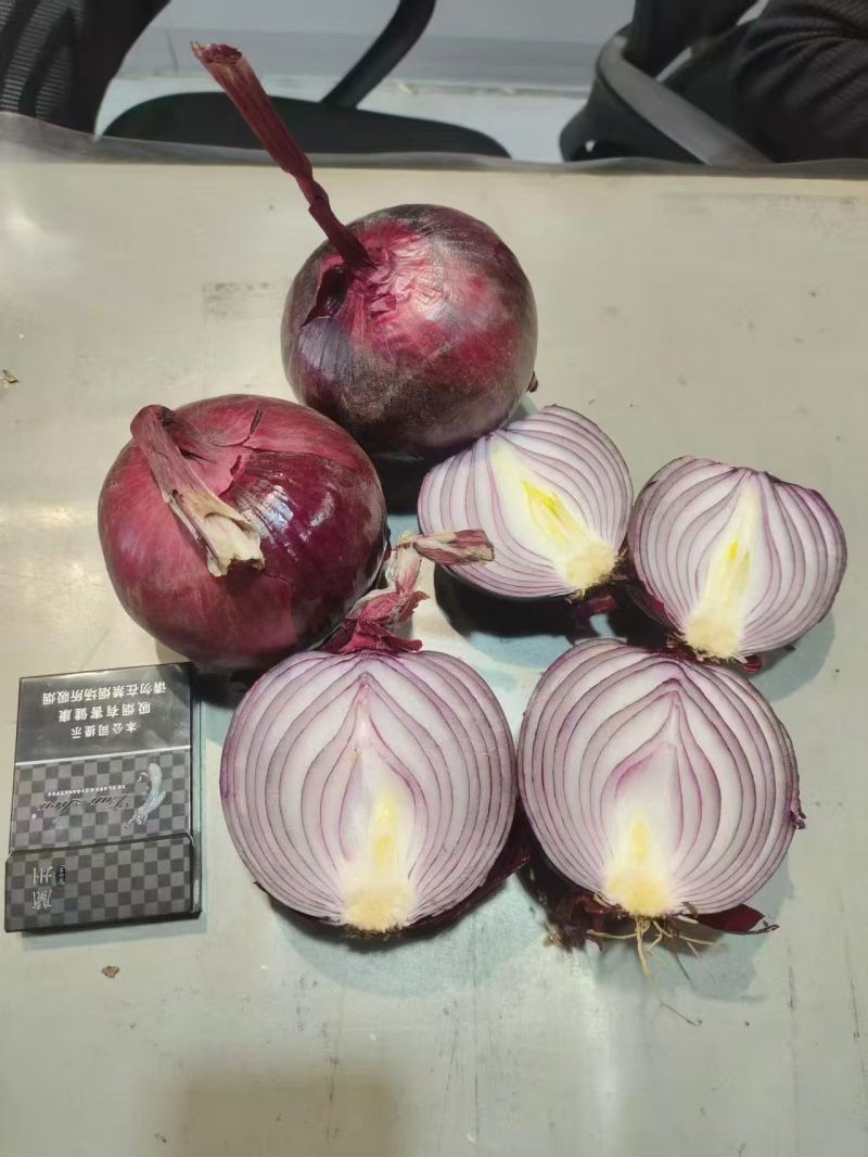 内蒙古紫皮洋葱，优质现货，大小8-11一吨200
