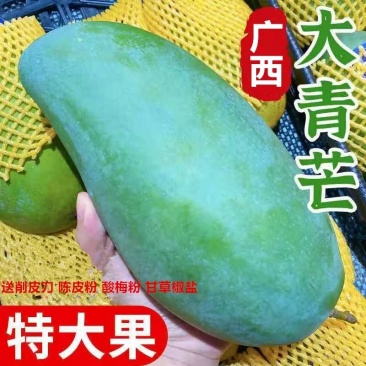 广西特产大青芒芒果