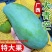 广西特产大青芒芒果