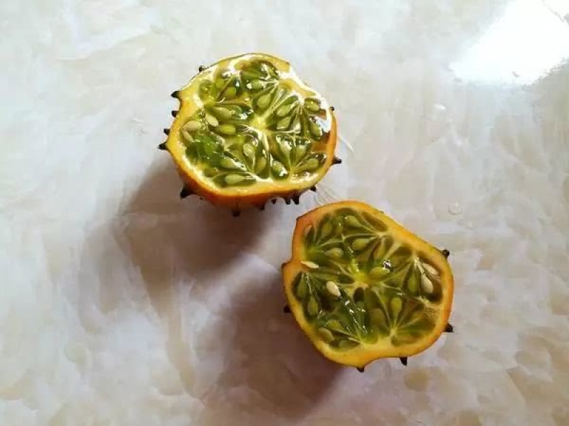 海南火参果刺角瓜量大优惠，常年有货，全国批发