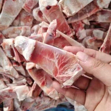 羊脆骨