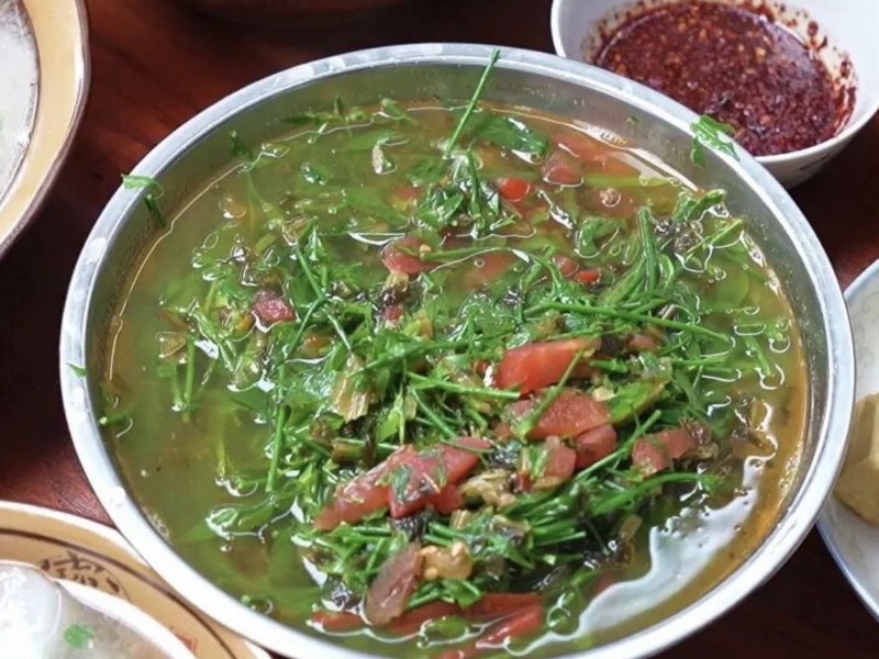 云南雷公菜/长蕊甜菜/云南特色/野菜天花板