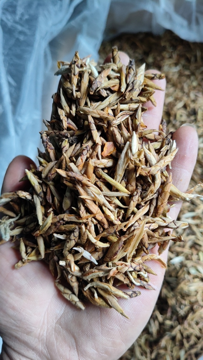 老鹰茶请看图片LX