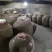 农家酿造纯粮食玉米酒基地直发量大从优欢迎来电洽谈合作