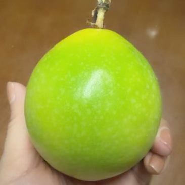 海南钦蜜9号百香果