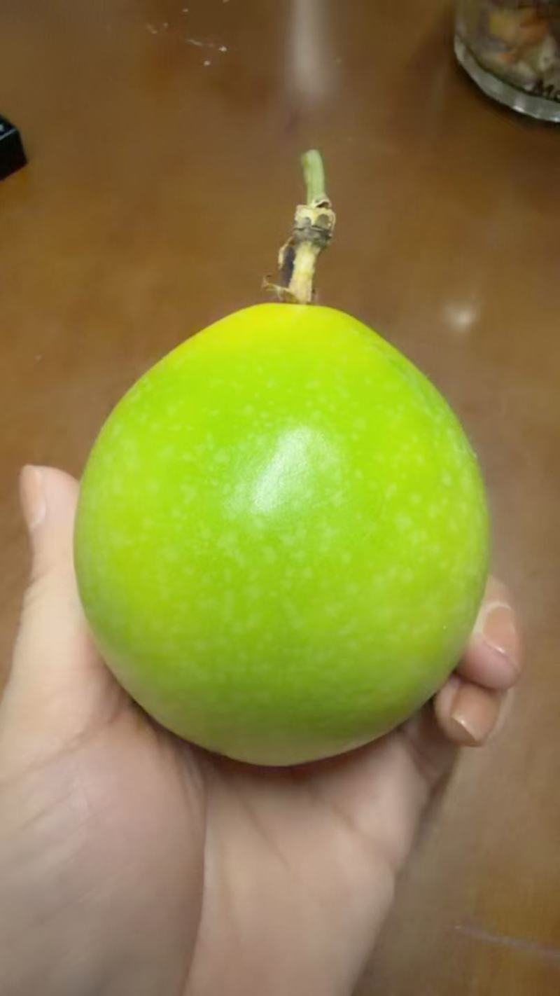 海南钦蜜9号百香果