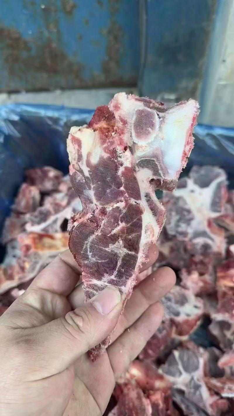 牛脊骨