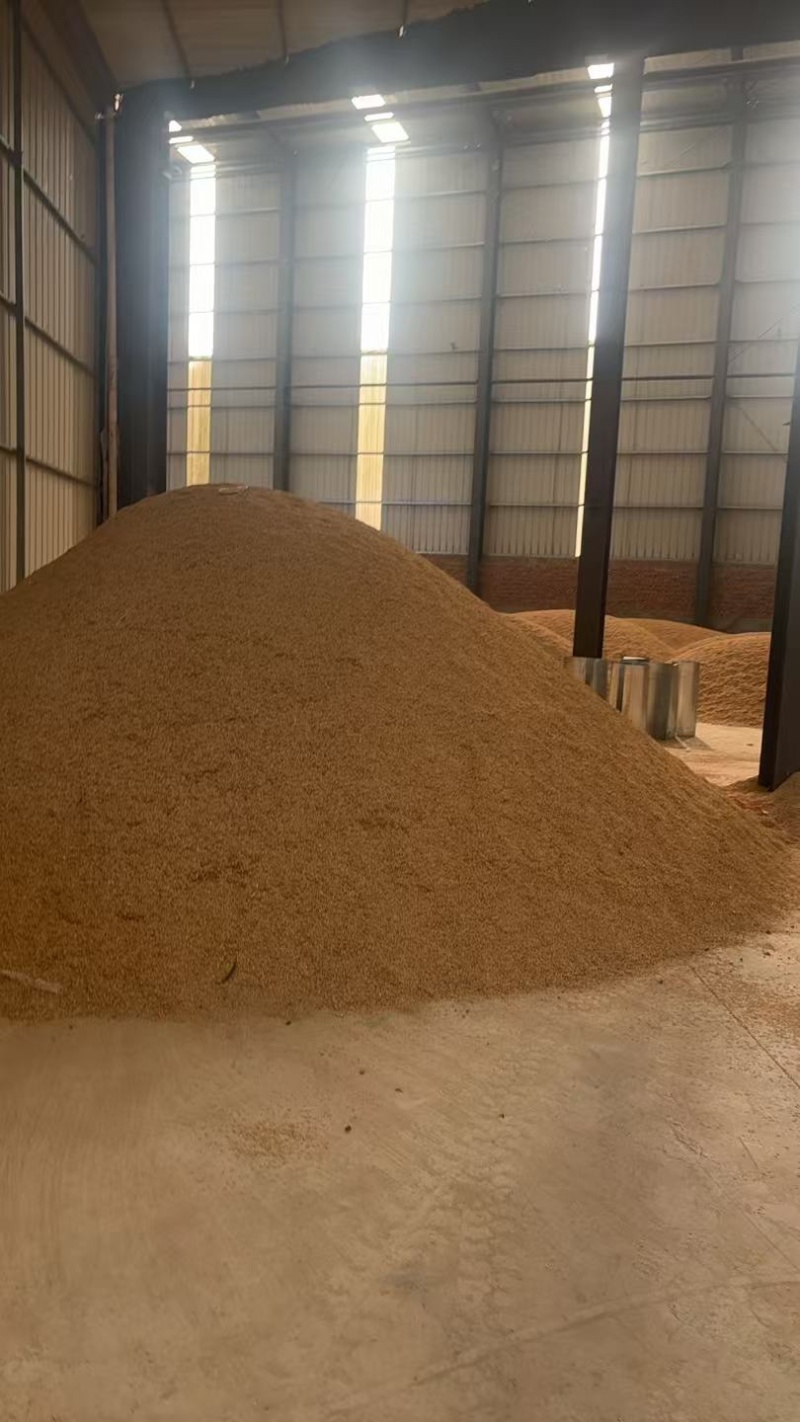 基地直发优质稻谷，品质有保障，诚信经营对接全国各大商超
