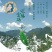 安康富硒茶徐小鳯的茶直供手工采摘海拔高金沙土干净
